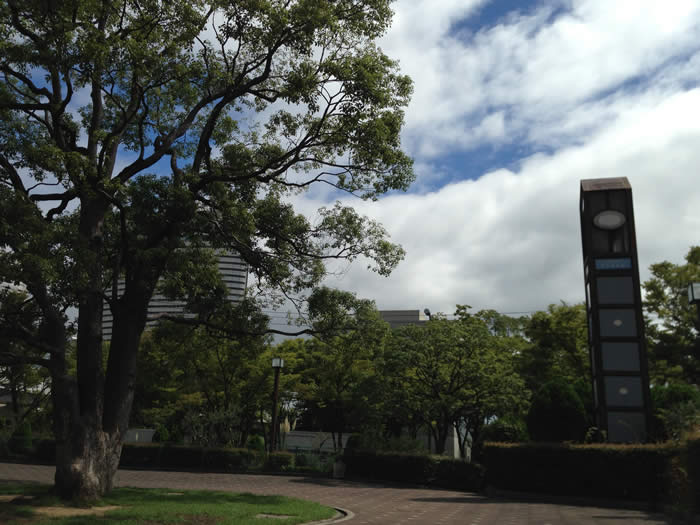 展示会　ランチ